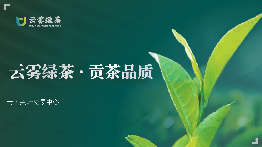 贵茶云购-不应盲目选择高返佣交易平台